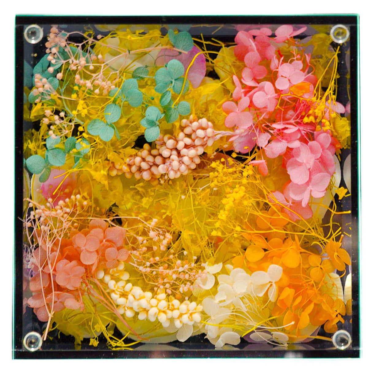 【SAND-BOX】スクエアBOX