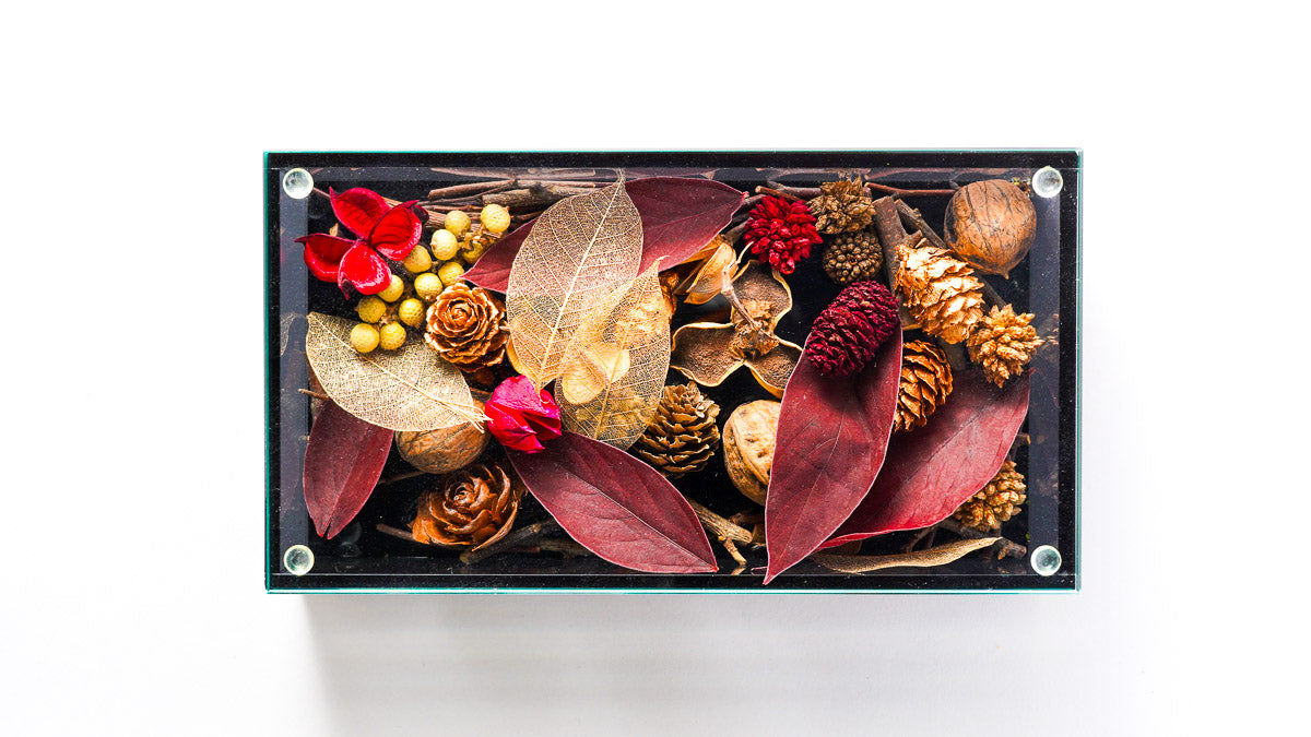 【SAND-BOX】冬キット 単体