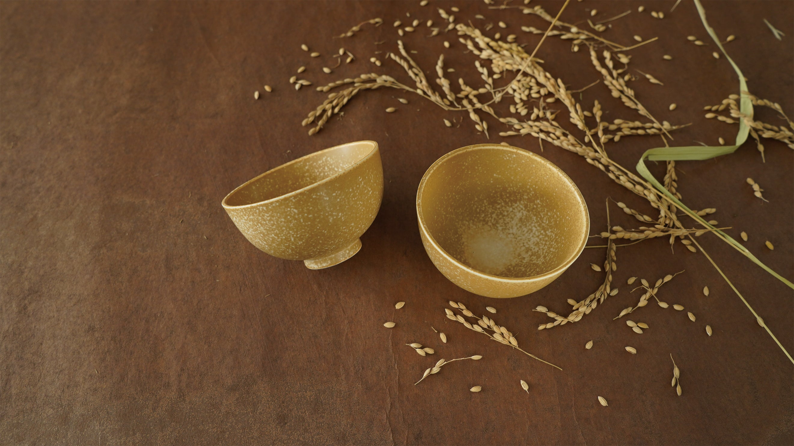コメの籾殻から生まれたサスティナブル食器【SDGs】Re: Rice ご飯茶碗