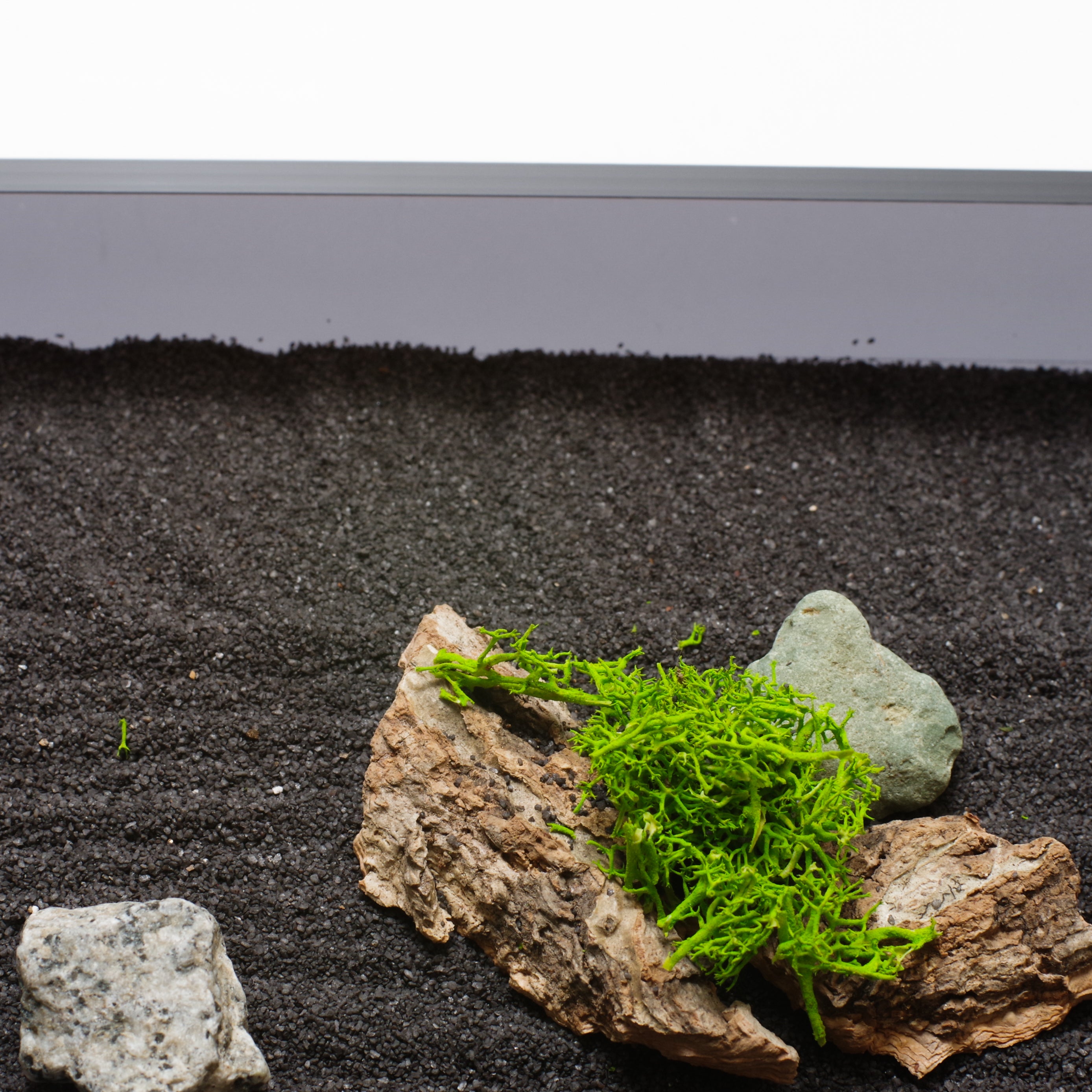 侘び寂びの器【SAND-BOX】枯山水キット 単体 – SAN &