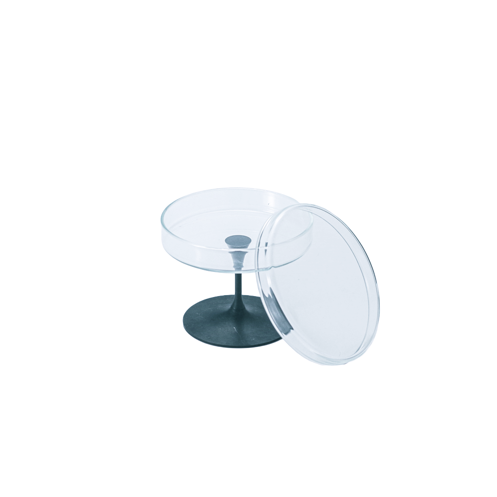 【Fusion】ヘイローディッシュ90 BK