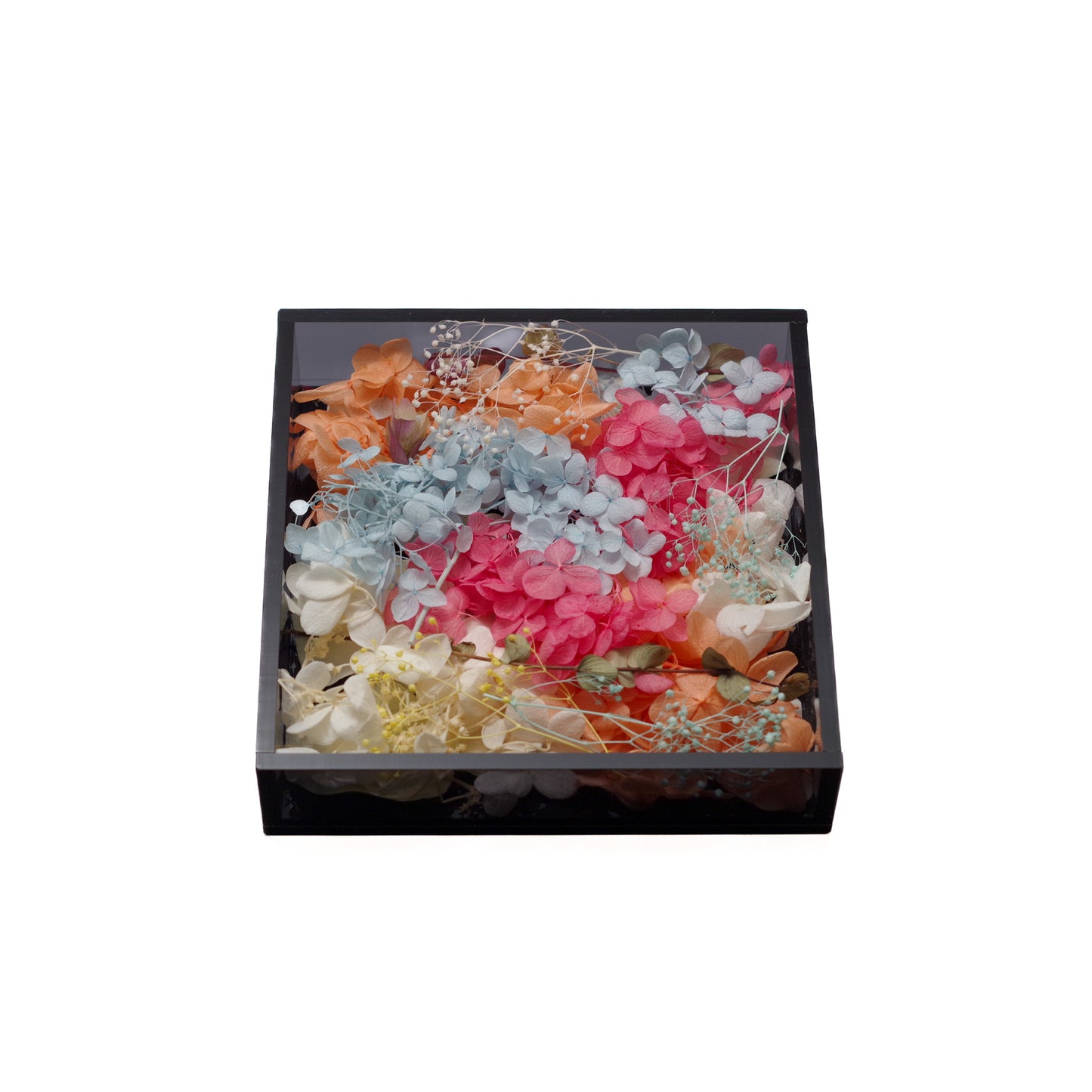 【SAND-BOX】ｽｸｴｱBOX