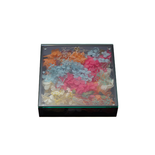 【SAND-BOX】ｽｸｴｱBOX