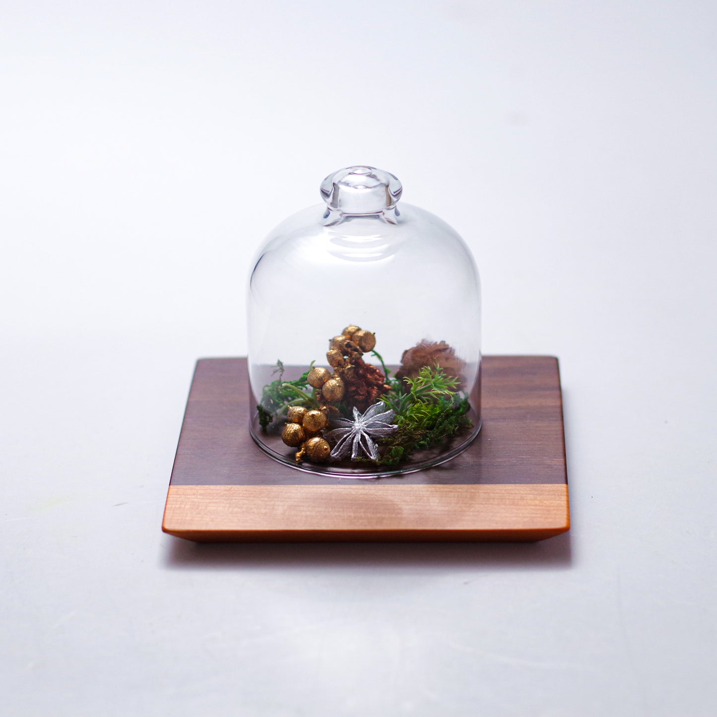 【クロッシュ】クリア